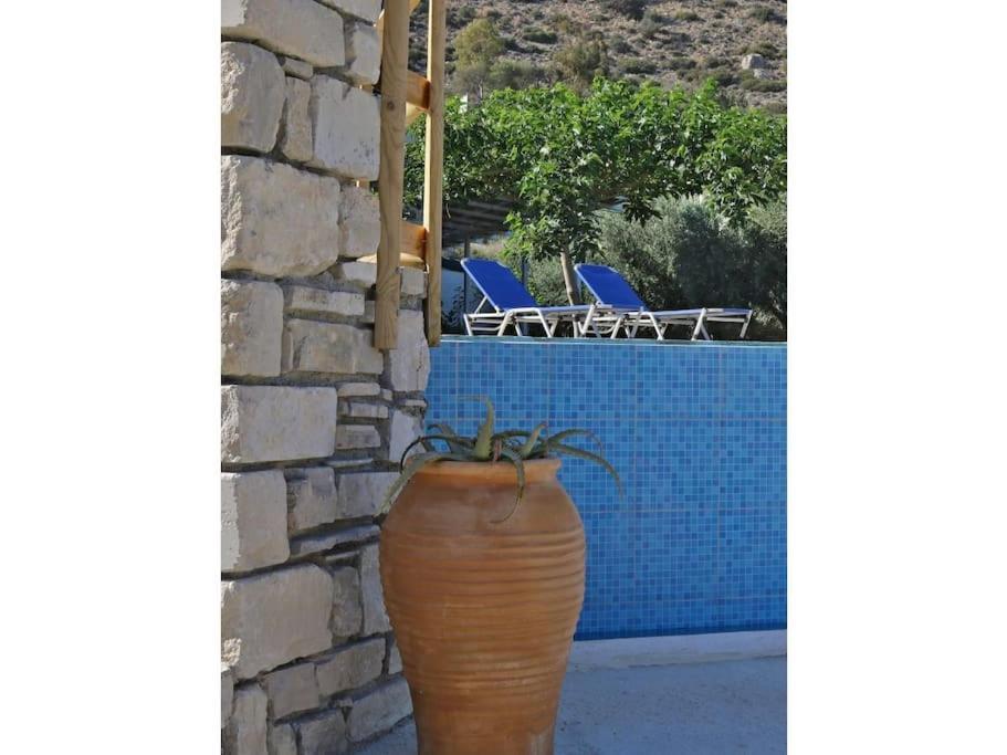Apartment Marilena